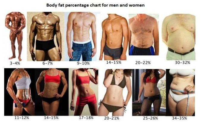 body fat percentage for men and women